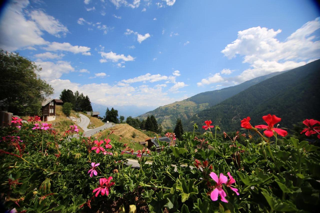 Bleusydyllique Nendaz Exterior foto